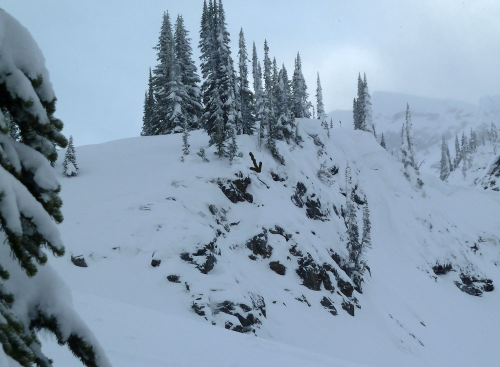 Double_North-Bowl_Revi