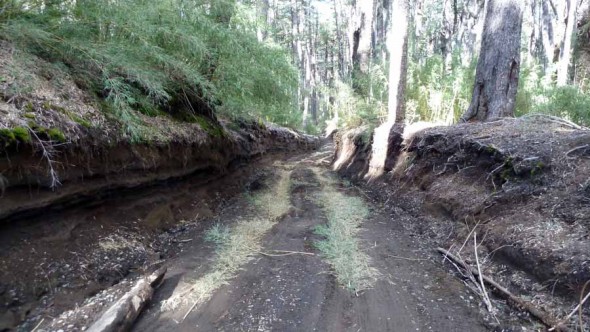 The dirt road in the Conguillío National Park that almost cost us the trip