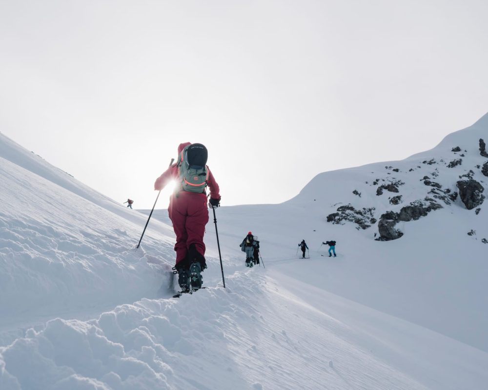 WPD Gruppe im Aufstieg